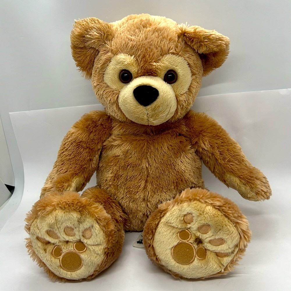 Disney Bear Plush Stuffed Animal Hidden Mickey Disney Parks Preowned